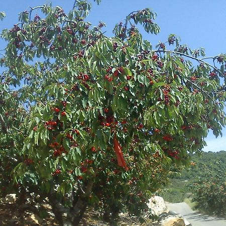 Bed and Breakfast Sanabl Druze Hospitality Ein Kinya Exterior foto