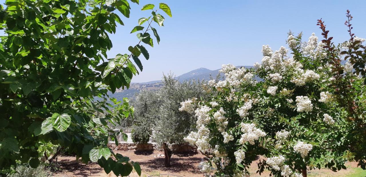 Bed and Breakfast Sanabl Druze Hospitality Ein Kinya Exterior foto